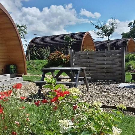 Buttercup Glamping Pod Hotell Cheltenham Exteriör bild